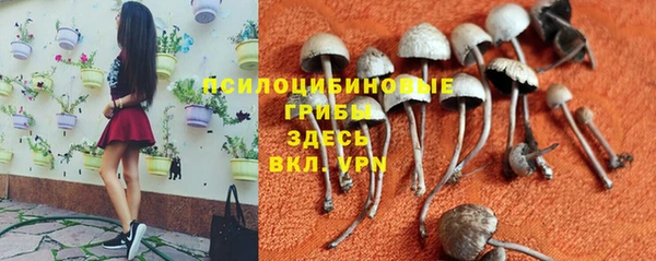 кристаллы Абаза